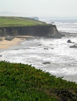 Half Moon Bay California USA 25
